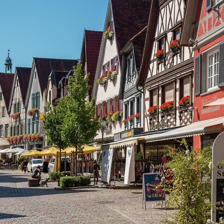 Cheerful Apartment Near City Centre Of Haslach Haslach im Kinzigtal Exterior photo