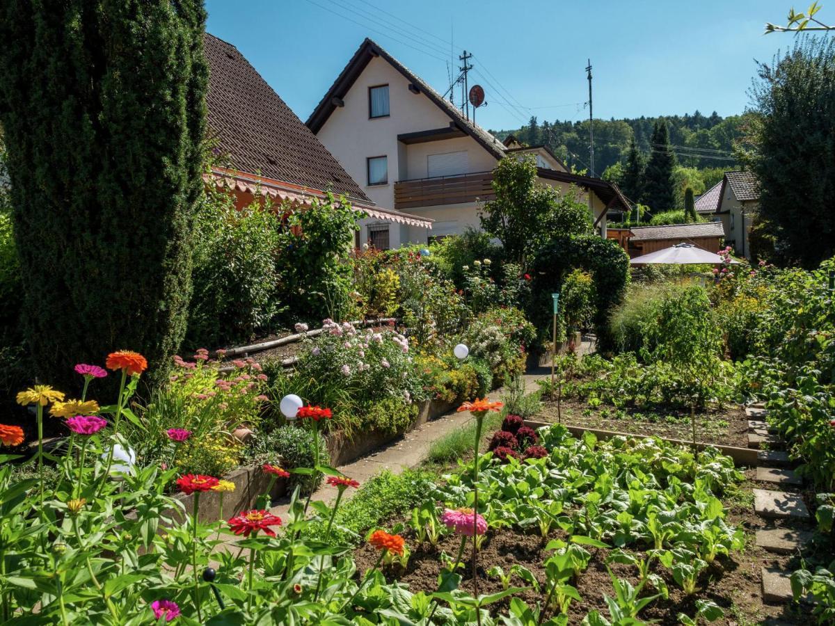 Cheerful Apartment Near City Centre Of Haslach Haslach im Kinzigtal Exterior photo